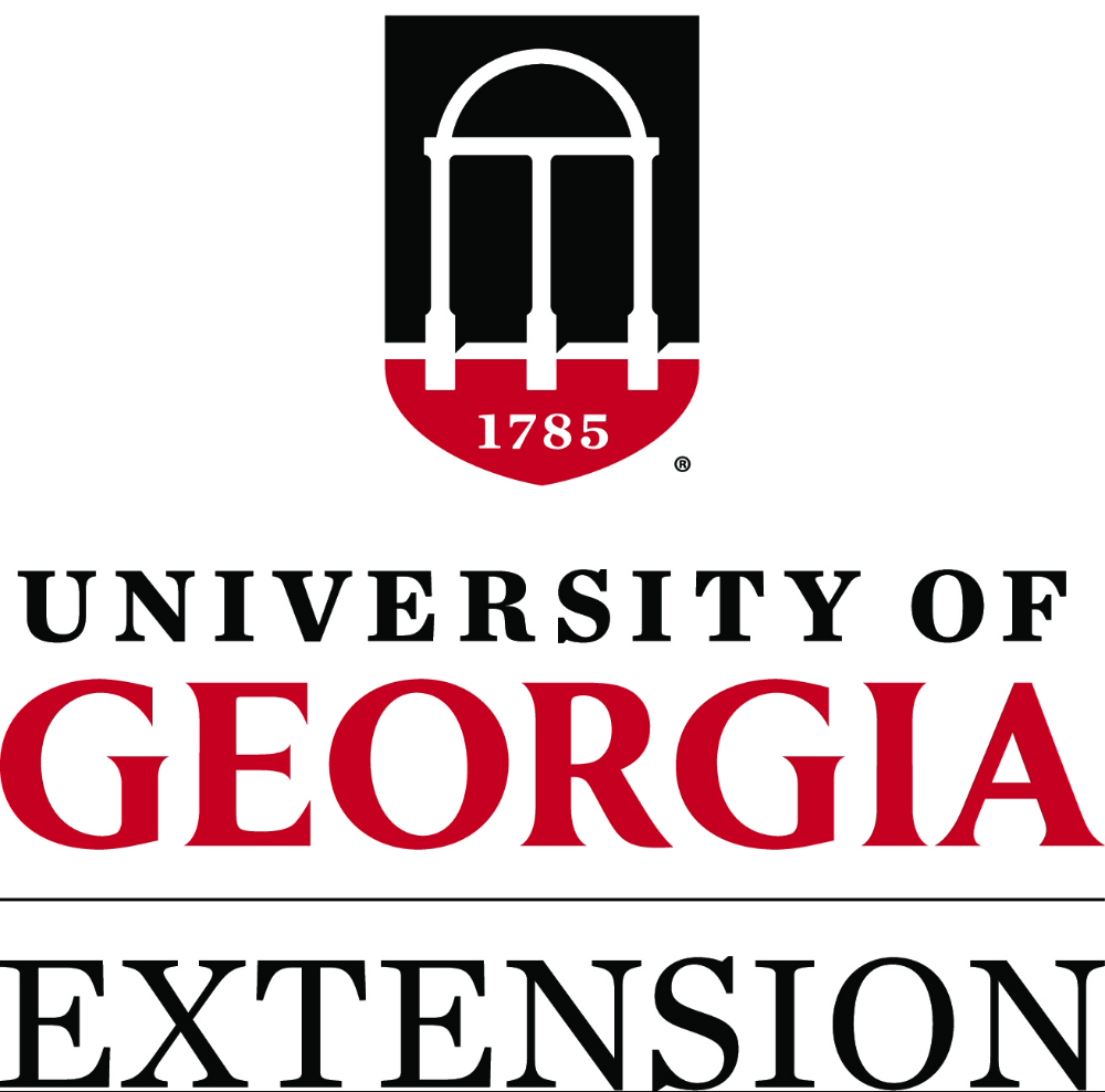 University of Georgia Extension Diabetes Prevention Program